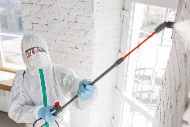 Best Asbestos and Lead Testing During Mold Inspection  in Petersburg, MI