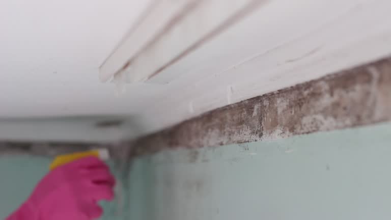 Best Indoor Air Quality Assessment  in Petersburg, MI